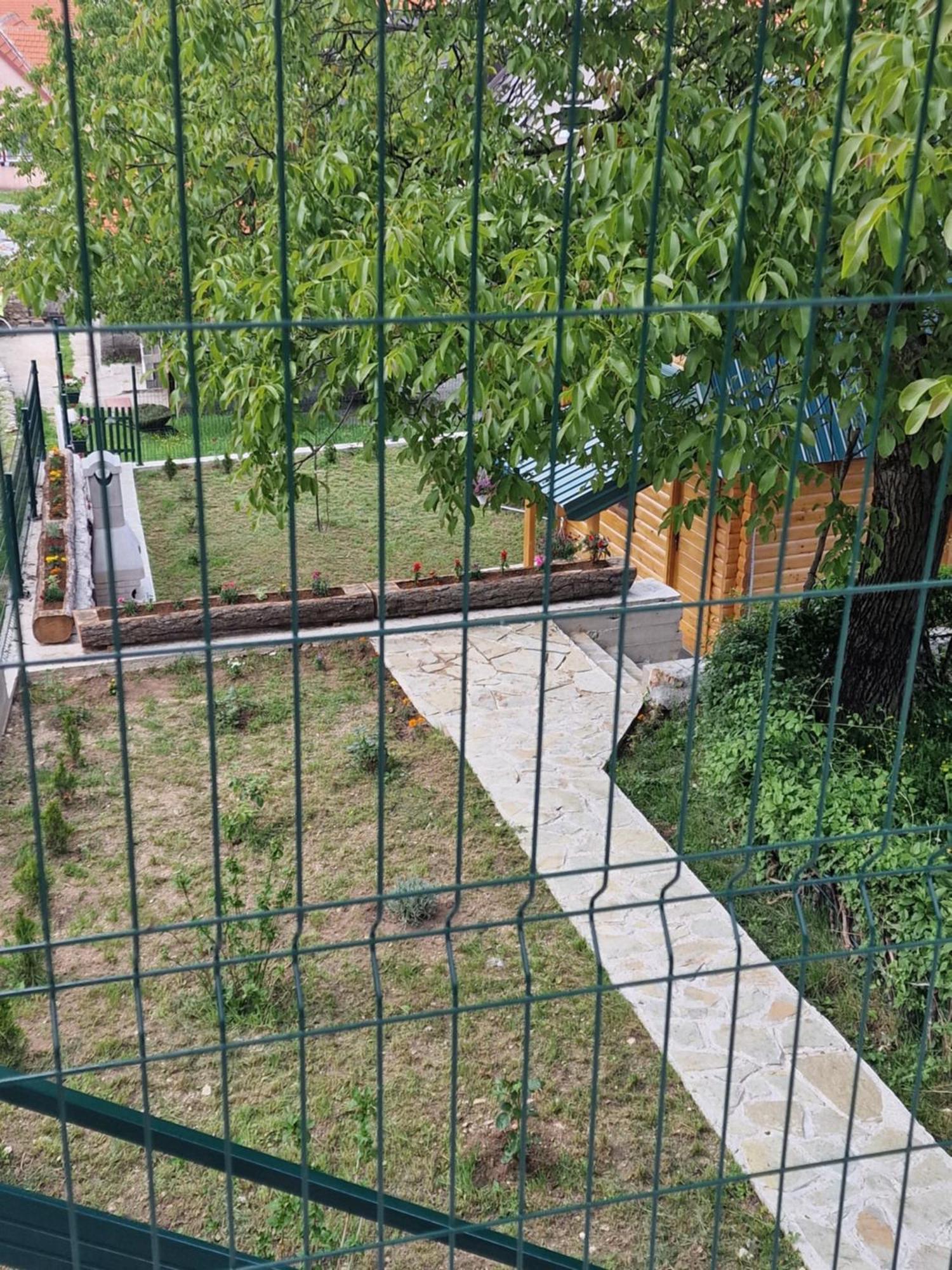 Brvnara Ricki Villa Cetinje Eksteriør billede
