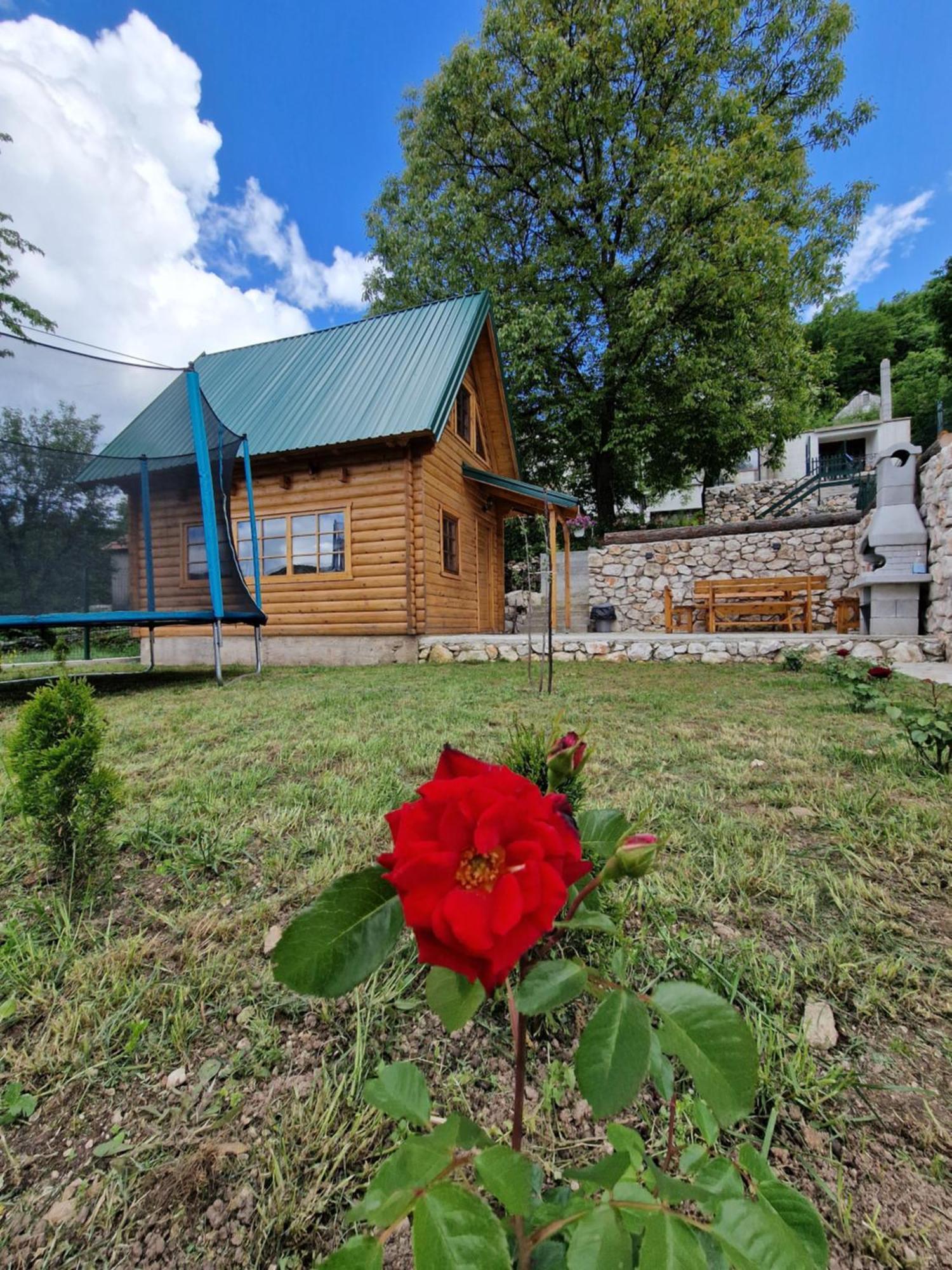 Brvnara Ricki Villa Cetinje Eksteriør billede