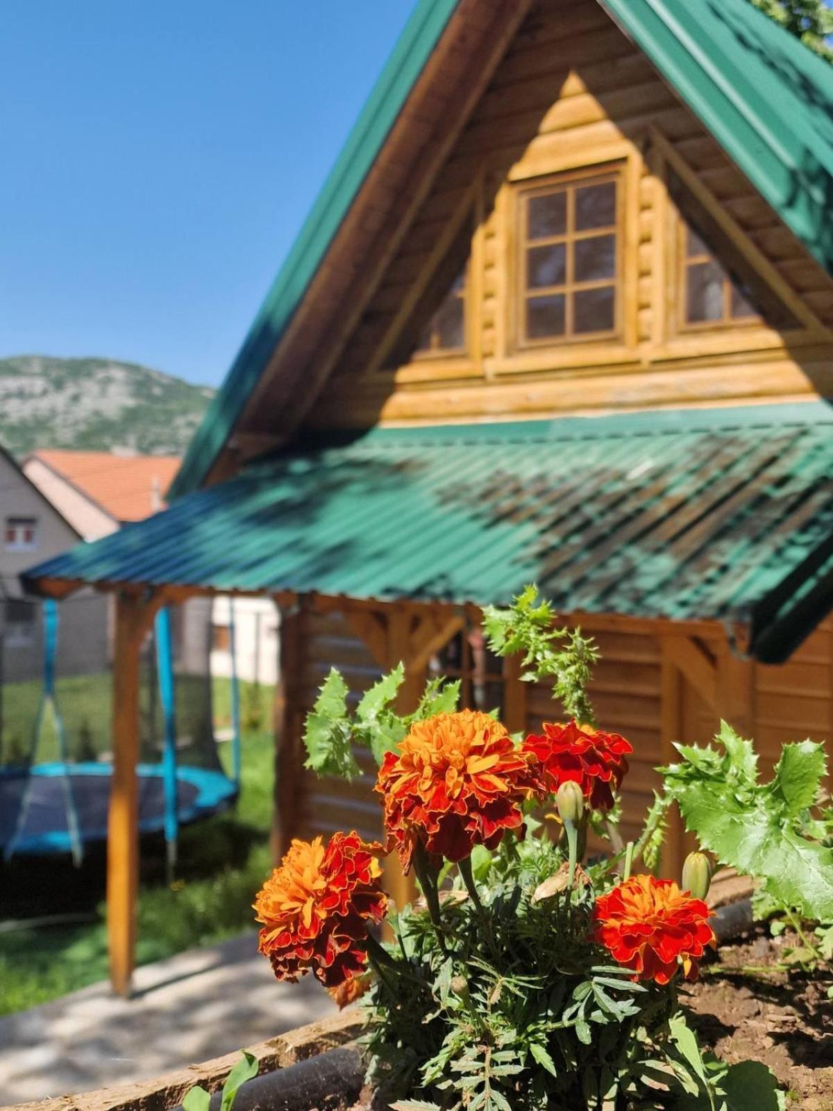Brvnara Ricki Villa Cetinje Eksteriør billede